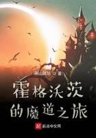The Wizarding Journey of Hogwarts